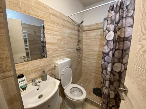 Et badeværelse på Guest House Zoreni