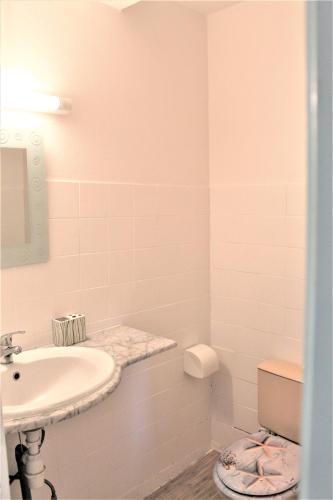 a white bathroom with a sink and a mirror at Gites "les colibris" in Schœlcher