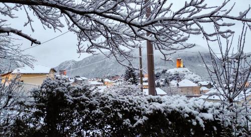 Le Nopal Bleu durante el invierno