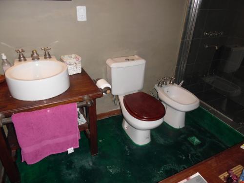 a bathroom with a sink and a toilet and a sink at Casas de Campo Los Corralitos in Mendoza