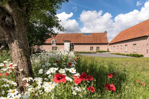 Vakantiewoning Babillie – Photos 4
