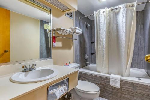 a bathroom with a sink and a toilet and a shower at Econo Lodge & Suites Southern Pines in Southern Pines