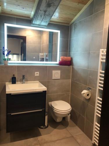 a bathroom with a toilet and a sink and a mirror at Schans Appartements in Hermagor