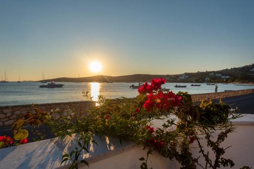 Gallery image of Irene Hotel - Beachfront in Parikia