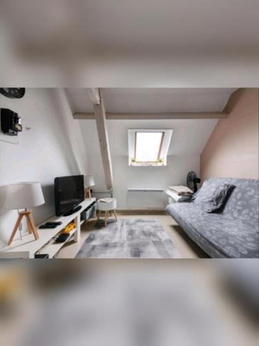 een woonkamer met een bank en een tv bij Cosy village in Bonneuil-en-France