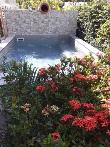 a swimming pool in a garden with red flowers at Villas Ixora in Sainte-Anne