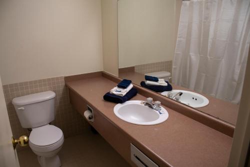 a bathroom with a sink and a toilet and a mirror at Residence & Conference Centre - Sarnia in Sarnia