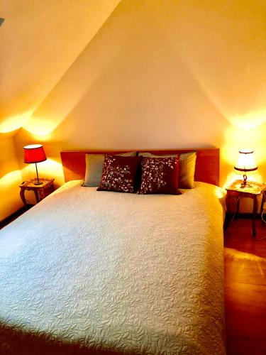 a bedroom with a large bed with two lamps at Foodiejive in Antwerp