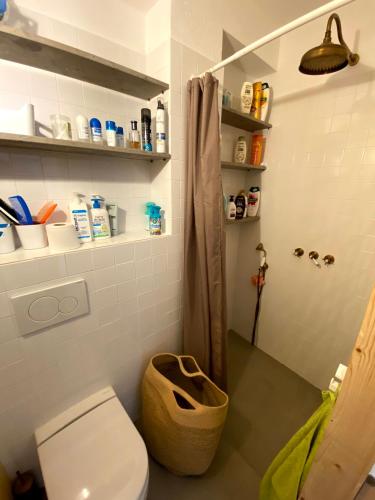 a bathroom with a toilet and a shower at Baleal waterfront in Baleal