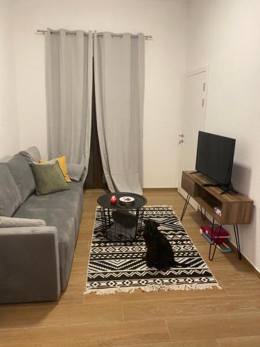 a cat sitting on a rug in a living room at Apartman Maris in Šišava