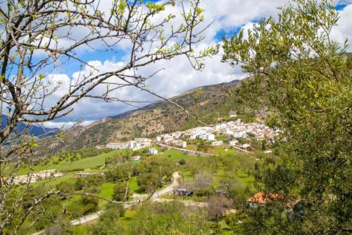 una piccola cittadina su una collina con alberi di Hotel Rural Inz-Almaraz a Jimera de Líbar