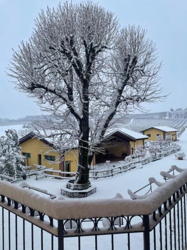 Tenuta Montebello – Photos 2