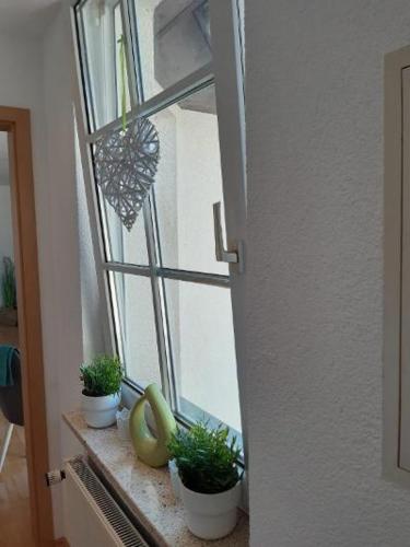 a window with potted plants on a window sill at Ferienwohnung Salzmannhaus in Zschopau