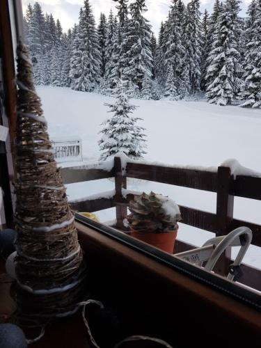 a view of a snow covered forest from a boat at Vlasicka avantura Eko Fis 509 in Vlasic