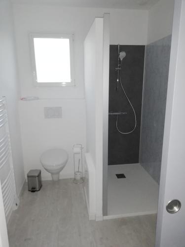 ein weißes Bad mit einer Dusche und einem WC in der Unterkunft Appart du peuble, lumineux in Brétignolles-sur-Mer