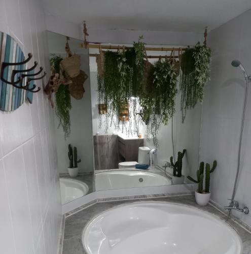 a bathroom with a bath tub with potted plants at Casa Salá, alojamiento con encanto en Vera Natura in Vera
