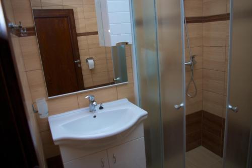 a bathroom with a sink and a shower with a mirror at Hotel Vila Anna in Martinske Hole