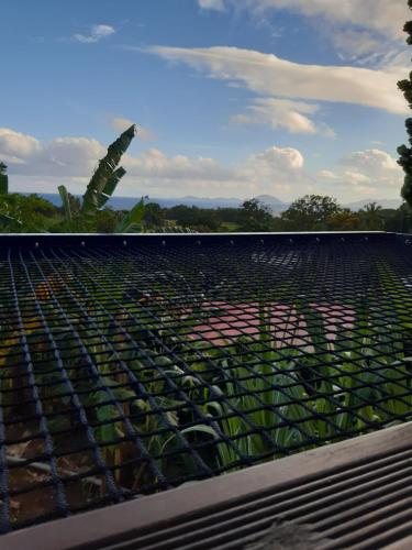 a metal grill with a plant on top of it at Chalet cabane in Capesterre-Belle-Eau