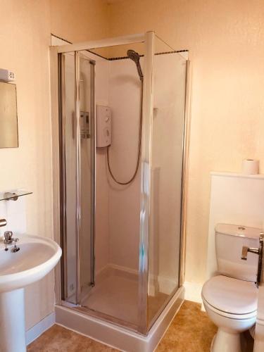 a bathroom with a shower with a toilet and a sink at The Purple Tree Guest House in Torquay