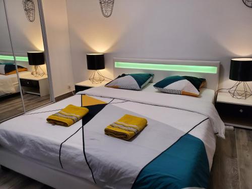- 2 lits dans une chambre avec 2 miroirs dans l'établissement LE LOVELYHOME au Centre ville avec SPA JACUZZI et SAUNA proche gare et parking gratuit, à Colmar