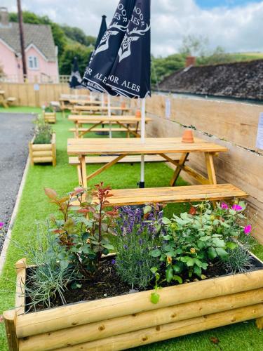 a row of wooden benches with flowers and an umbrella at The Royal Oak Inn in Withypool