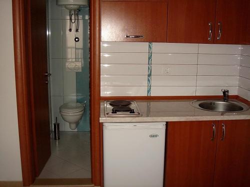 una pequeña cocina con lavabo y aseo en Apartments Odalović, en Bijela