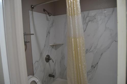 a bathroom with a marble shower curtain and a toilet at Deluxe Inn Irving in Irving