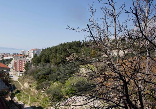 a view of a hill with trees and buildings at Villa Makarana Apartments in Makarska