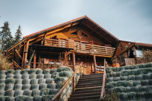 a large wooden house with stairs in front of it at Cabana Viking Colibița in Colibiţa