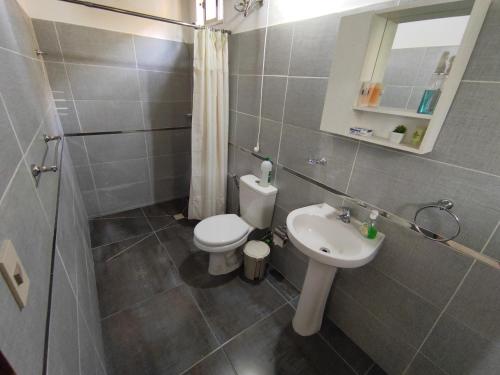 La salle de bains est pourvue de toilettes, d'un lavabo et d'une douche. dans l'établissement Ybá Pitá, à Colonia del Sacramento