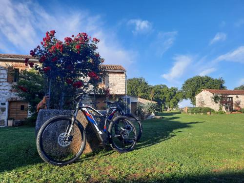 two bikes parked next to a tree with flowers at Holiday Home Old Barn in Umag