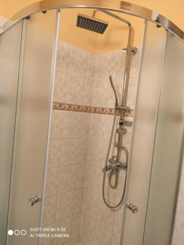 a shower with a glass door in a bathroom at King Apartman in Sárvár