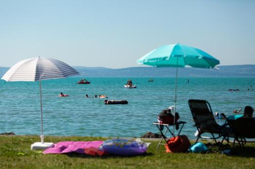 Gallery image of Aranypart Camping & Apartments in Siófok