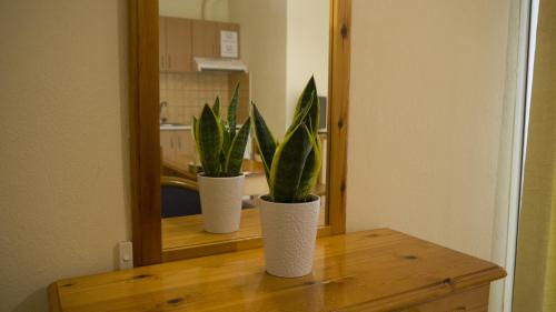two plants on a table in front of a mirror at Fani Hotel in Loutra Edipsou
