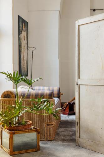 a living room with a couch and potted plants at Stabilimento Wine & Design Apartment in Campi Salentina