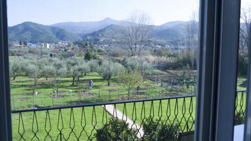 a view from a window of a field with mountains at Fani Hotel in Loutra Edipsou