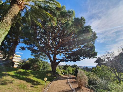 Solezia appartement, piscine et vue mer, by Welcome to Cannes