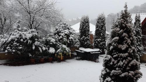 a snow covered yard with a bench and trees at Pensiunea Lucy in Sinaia