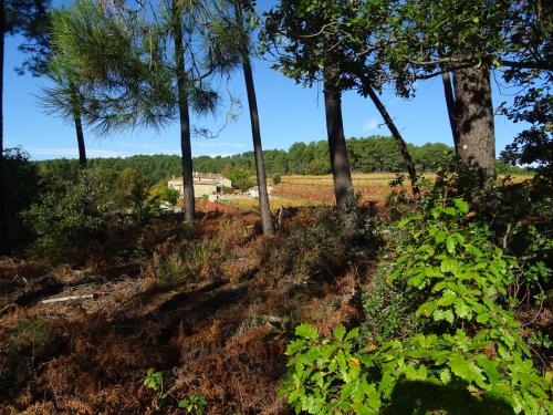 a field of trees with a house in the background at Domaine des hauts de Vernon in Vernon