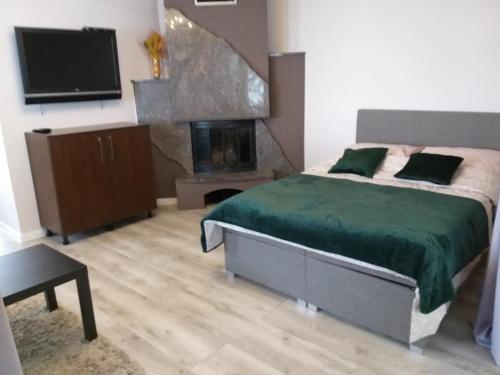 Schlafzimmer mit einem Bett, einem Kamin und einem TV in der Unterkunft Domek pod świerkami in Kudowa-Zdrój