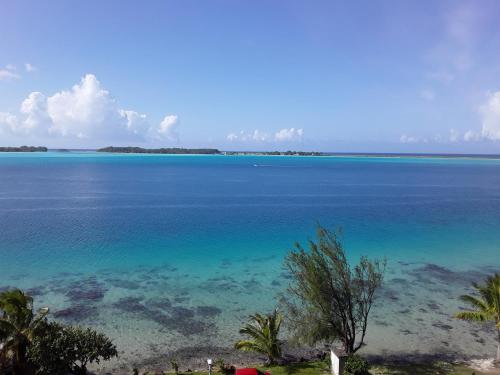 Gallery image of Studio Moana in Bora Bora