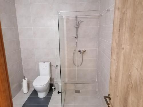 een badkamer met een douche en een toilet. bij Vila Cedra in Predeal