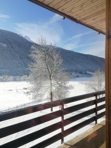 a view of a tree in the snow from a porch at Grande casa di famiglia in Temù