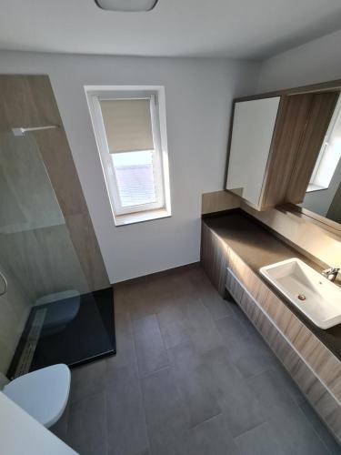 a bathroom with a sink and a mirror at Casa La Fayette in Timişoara