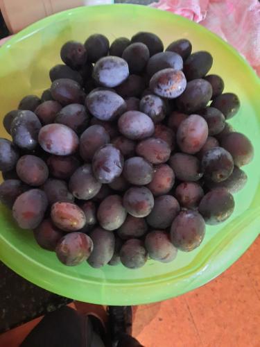 ゲストハウスの敷地内または近くでの食事または食べ物