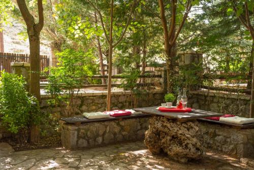 Κήπος έξω από το Villa Parnassos