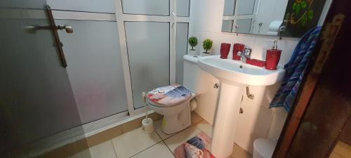 La petite salle de bains est pourvue de toilettes et d'un lavabo. dans l'établissement Appart ZIAD TANGER - Free WIFI, à Tanger
