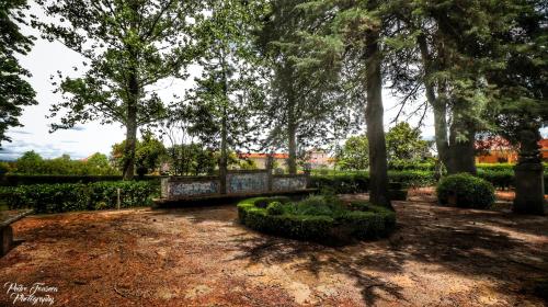 Taman di luar Casa Luís de Camões - Boutique & Literary House