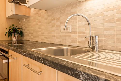 a kitchen with a stainless steel sink at Apartment Eisacktal in Mühlbach