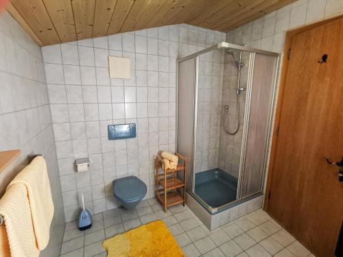 a bathroom with a shower and a blue toilet at Appartment Sonnenkogel in Holzgau